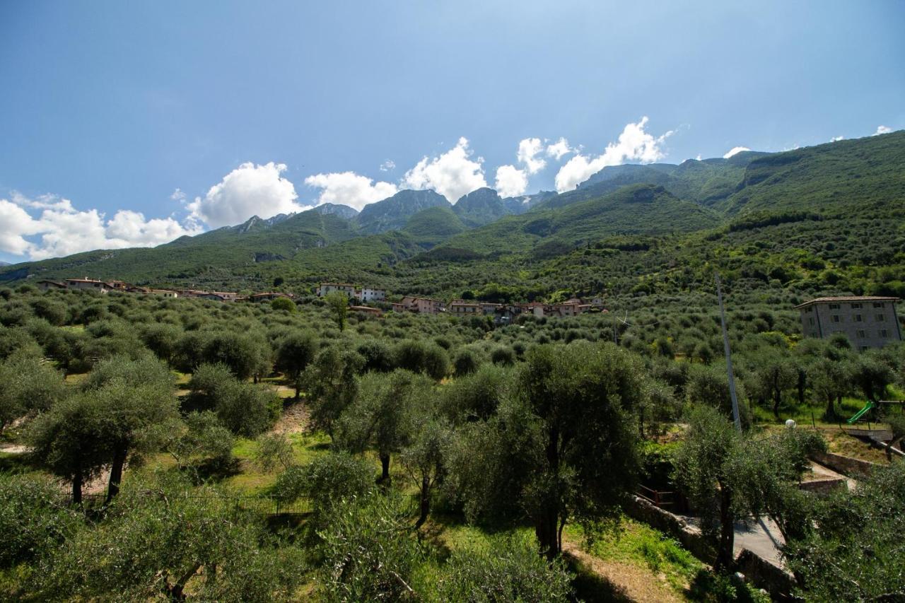 Villa Diana - Terrazza Sul Lago Assenza di Brenzone Dış mekan fotoğraf